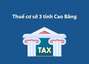 Thuế cơ sở 3 tỉnh Cao Bằng: Thông tin liên hệ