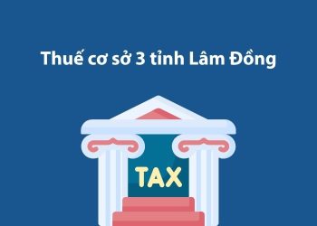 Thuế cơ sở 3 tỉnh Lâm Đồng: Thông tin liên hệ