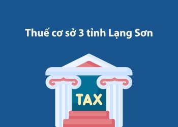 Thuế cơ sở 3 tỉnh Lạng Sơn: Thông tin liên hệ
