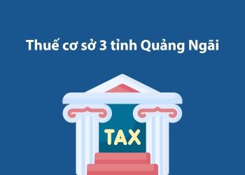 Thuế cơ sở 3 tỉnh Quảng Ngãi: Thông tin liên hệ