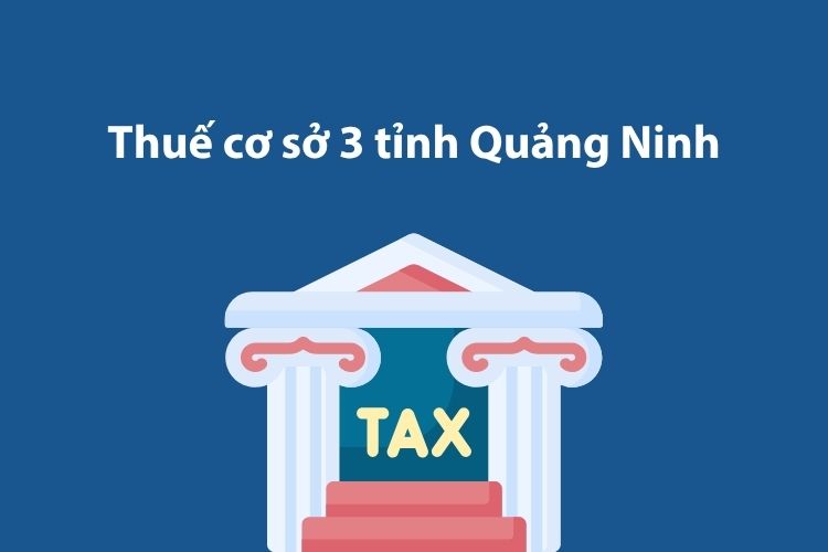 Thuế cơ sở 3 tỉnh Quảng Ninh: Thông tin liên hệ