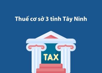 Thuế cơ sở 3 tỉnh Tây Ninh: Thông tin liên hệ