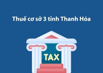 Thuế cơ sở 3 tỉnh Thanh Hóa: Thông tin liên hệ