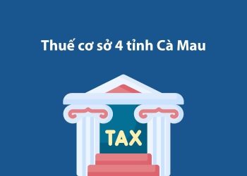 Thuế cơ sở 4 tỉnh Cà Mau: Thông tin liên hệ