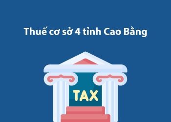 Thuế cơ sở 4 tỉnh Cao Bằng: Thông tin liên hệ