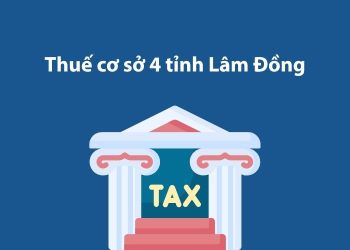 Thuế cơ sở 4 tỉnh Lâm Đồng: Thông tin liên hệ