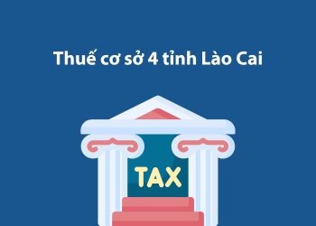 Thuế cơ sở 4 tỉnh Lào Cai: Thông tin liên hệ