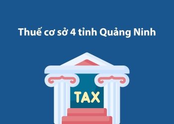 Thuế cơ sở 4 tỉnh Quảng Ninh: Thông tin liên hệ