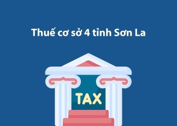 Thuế cơ sở 4 tỉnh Sơn La: Thông tin liên hệ