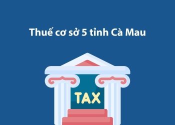 Thuế cơ sở 5 tỉnh Cà Mau: Thông tin liên hệ