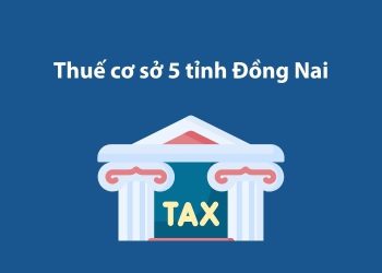 Thuế cơ sở 5 tỉnh Đồng Nai: Thông tin liên hệ