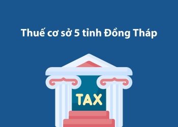 Thuế cơ sở 5 tỉnh Đồng Tháp: Thông tin liên hệ