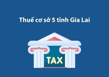 Thuế cơ sở 5 tỉnh Gia Lai: Thông tin liên hệ