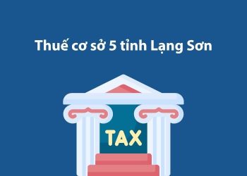 Thuế cơ sở 5 tỉnh Lạng Sơn: Thông tin liên hệ