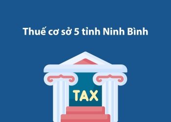 Thuế cơ sở 5 tỉnh Ninh Bình: Thông tin liên hệ