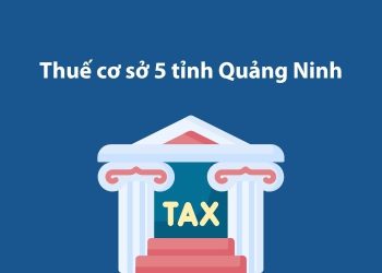 Thuế cơ sở 5 tỉnh Quảng Ninh: Thông tin liên hệ