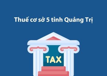Thuế cơ sở 5 tỉnh Quảng Trị: Thông tin liên hệ