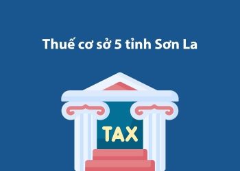Thuế cơ sở 5 tỉnh Sơn La: Thông tin liên hệ
