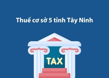 Thuế cơ sở 5 tỉnh Tây Ninh: Thông tin liên hệ