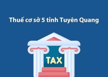 Thuế cơ sở 5 tỉnh Tuyên Quang: Thông tin liên hệ