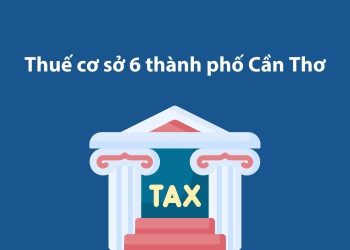 Thuế cơ sở 6 thành phố Cần Thơ: Thông tin liên hệ