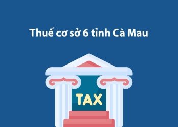 Thuế cơ sở 6 tỉnh Cà Mau: Thông tin liên hệ