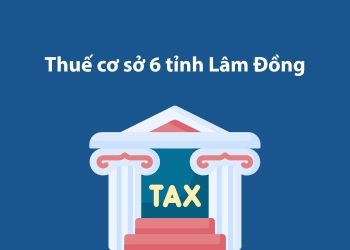 Thuế cơ sở 6 tỉnh Lâm Đồng: Thông tin liên hệ