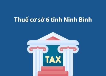Thuế cơ sở 6 tỉnh Ninh Bình: Thông tin liên hệ