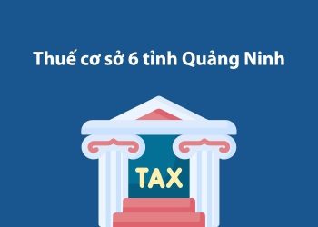 Thuế cơ sở 6 tỉnh Quảng Ninh: Thông tin liên hệ