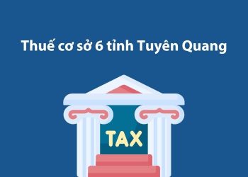 Thuế cơ sở 6 tỉnh Tuyên Quang: Thông tin liên hệ