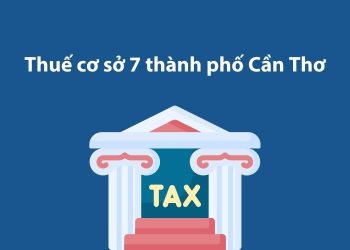 Thuế cơ sở 7 thành phố Cần Thơ: Thông tin liên hệ