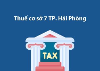 Thuế cơ sở 7 thành phố Hải Phòng: Thông tin liên hệ