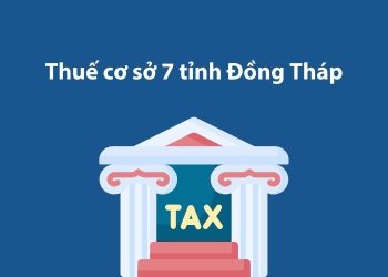 Thuế cơ sở 7 tỉnh Đồng Tháp: Thông tin liên hệ