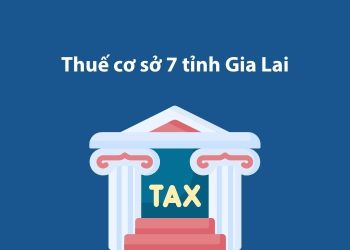 Thuế cơ sở 7 tỉnh Gia Lai: Thông tin liên hệ