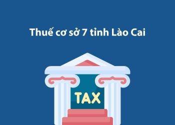 Thuế cơ sở 7 tỉnh Lào Cai: Thông tin liên hệ