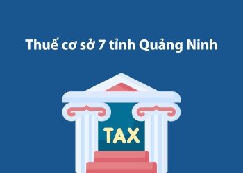 Thuế cơ sở 7 tỉnh Quảng Ninh: Thông tin liên hệ