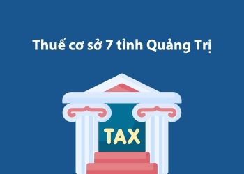 Thuế cơ sở 7 tỉnh Quảng Trị: Thông tin liên hệ