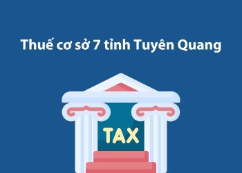 Thuế cơ sở 7 tỉnh Tuyên Quang: Thông tin liên hệ