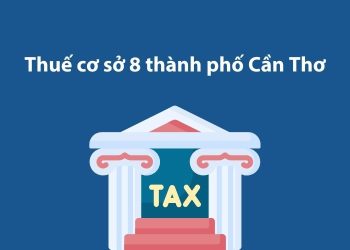 Thuế cơ sở 8 thành phố Cần Thơ: Thông tin liên hệ