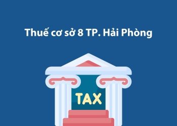 Thuế cơ sở 8 thành phố Hải Phòng: Thông tin liên hệ
