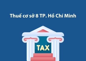 Thuế cơ sở 8 Thành phố Hồ Chí Minh: Thông tin liên hệ