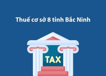 Thuế cơ sở 8 tỉnh Bắc Ninh: Thông tin liên hệ