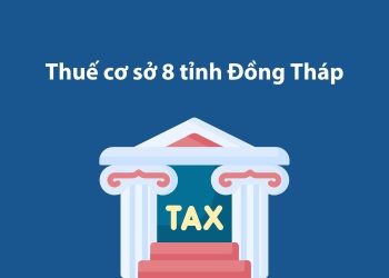 Thuế cơ sở 8 tỉnh Đồng Tháp: Thông tin liên hệ