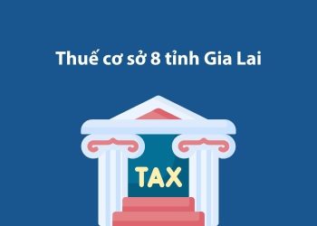 Thuế cơ sở 8 tỉnh Gia Lai: Thông tin liên hệ