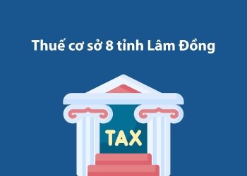 Thuế cơ sở 8 tỉnh Lâm Đồng: Thông tin liên hệ