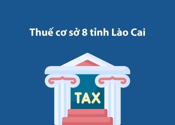 Thuế cơ sở 8 tỉnh Lào Cai: Thông tin liên hệ