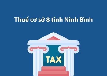 Thuế cơ sở 8 tỉnh Ninh Bình: Thông tin liên hệ