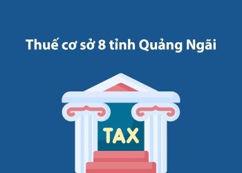 Thuế cơ sở 8 tỉnh Quảng Ngãi: Thông tin liên hệ
