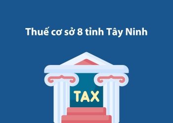 Thuế cơ sở 8 tỉnh Tây Ninh: Thông tin liên hệ