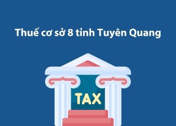 Thuế cơ sở 8 tỉnh Tuyên Quang: Thông tin liên hệ